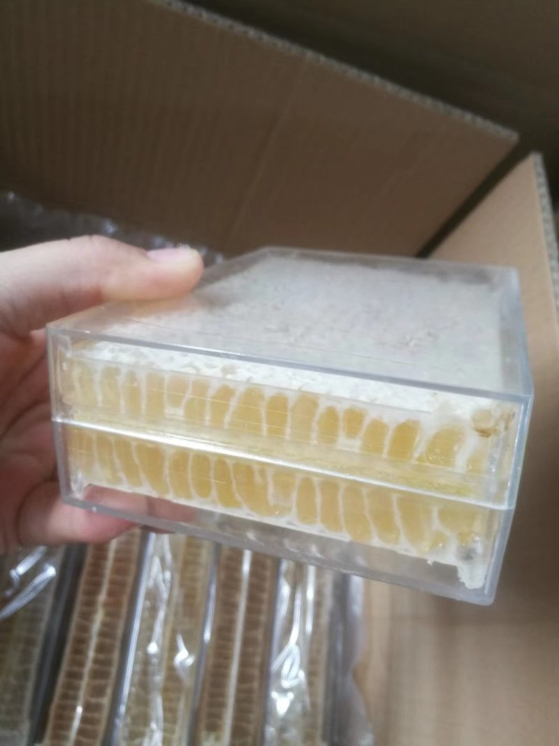 500g洋槐巢蜜