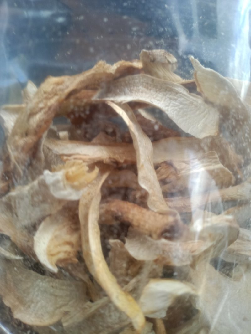 野生松茸干片