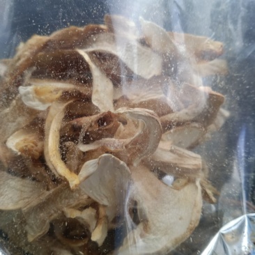 野生松茸干片