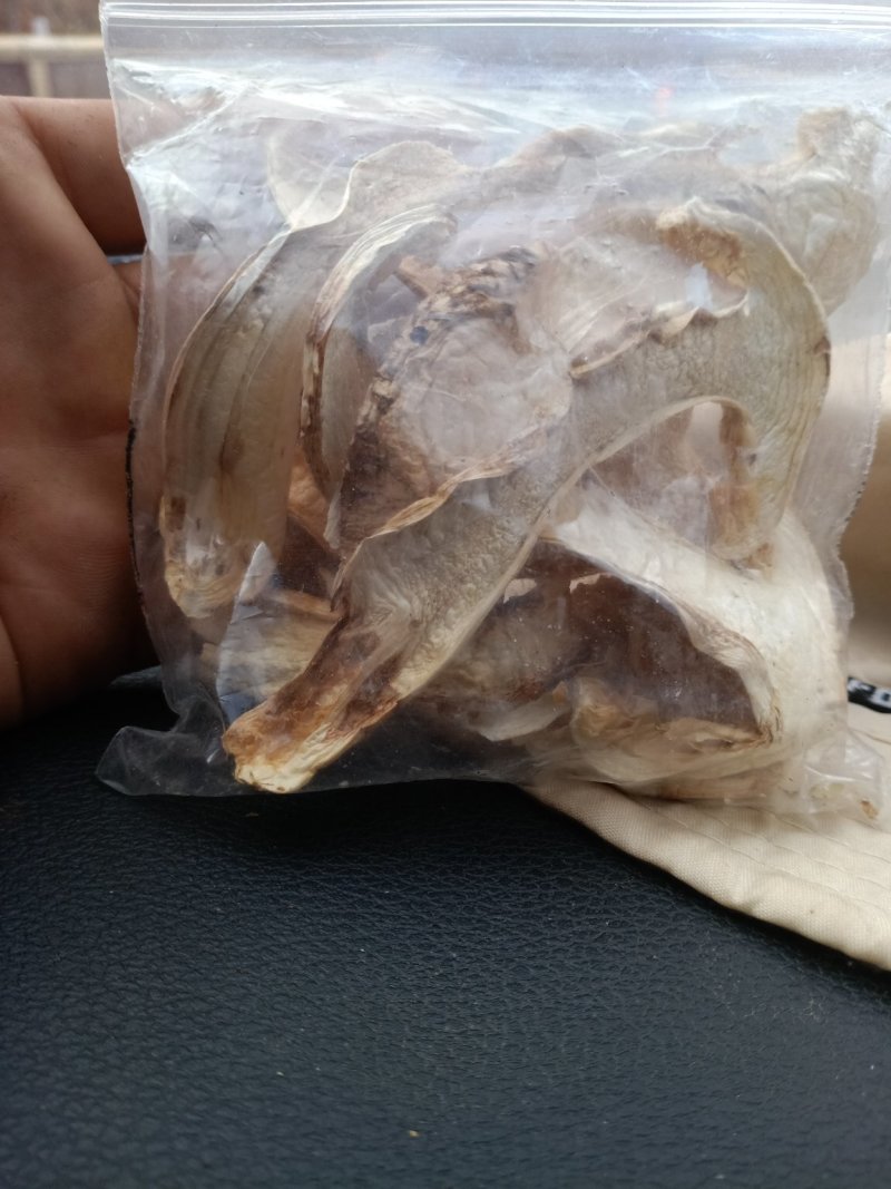 野生松茸干片