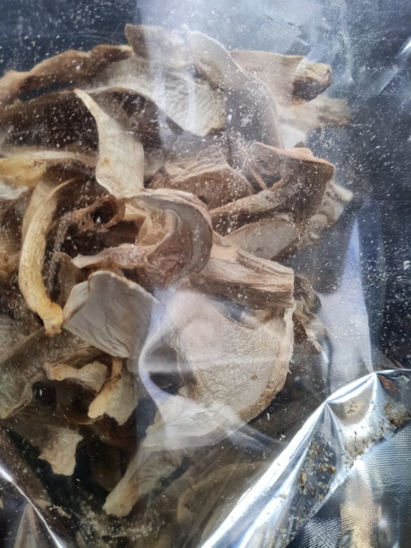 野生松茸干片