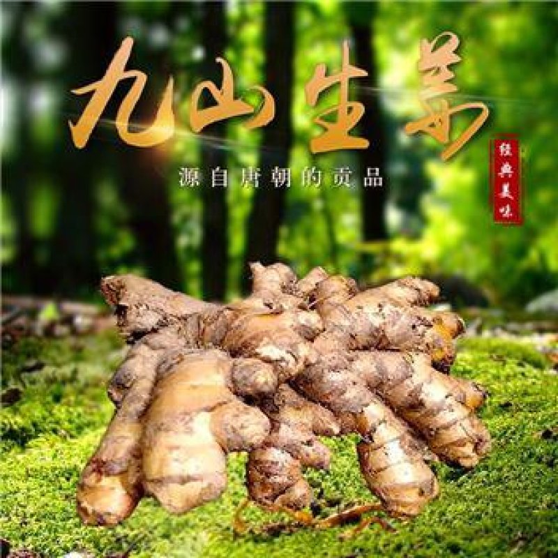 九山贡姜(富硒)