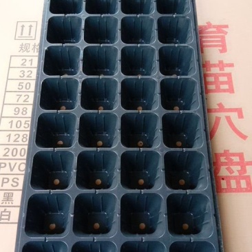 穴盘育苗基质穴盘pvc,pr,抗晒，防老化包苗盘质量保量