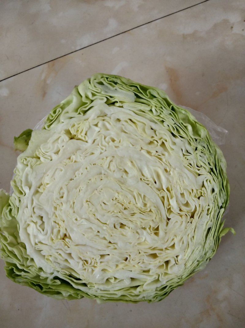 中甘21大量出售