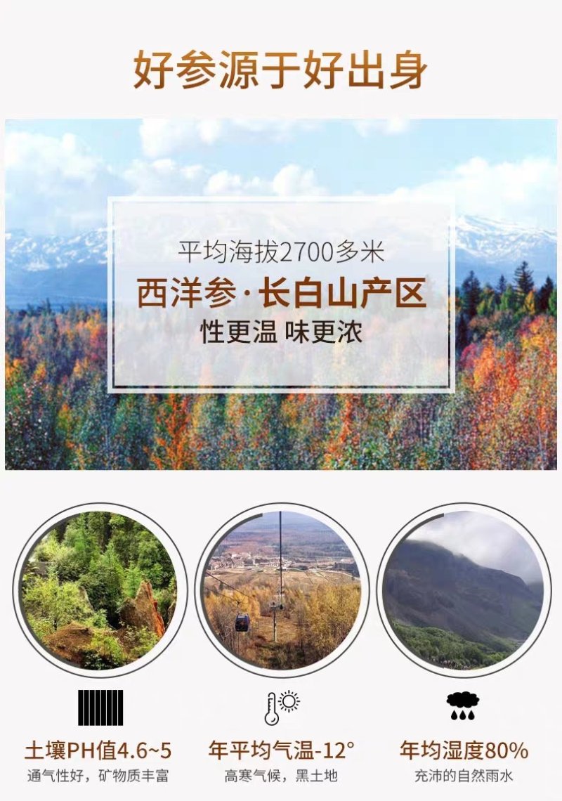 红参纯无糖东北长白山无糖红参人参高丽参整支500克包邮