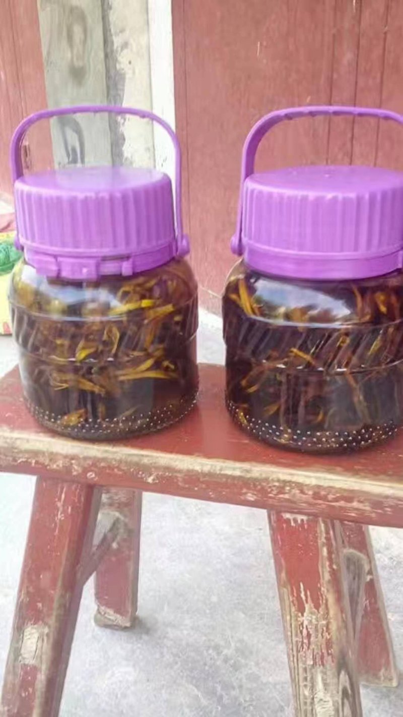 鸡枞油