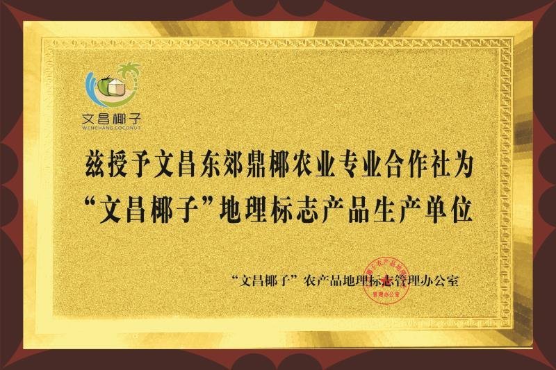 海南文昌东郊青皮椰子7个装1件非泰国包邮