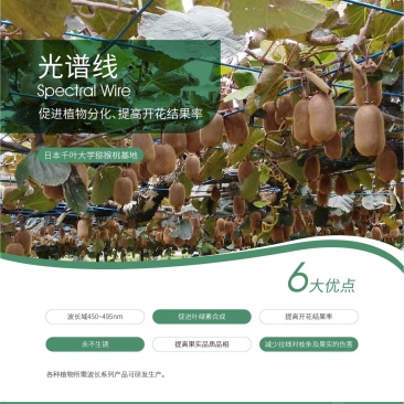 德裕农友光谱线提高开花结果率厂商直销