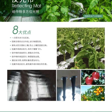 德裕农友反光布增强光合作用厂商直销