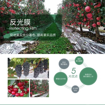 德裕农友反光膜促果实充分着色提高果实品质