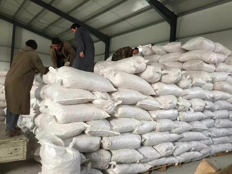 振兴药材批发供应贝母规格齐全产地直供一手货源全国发货