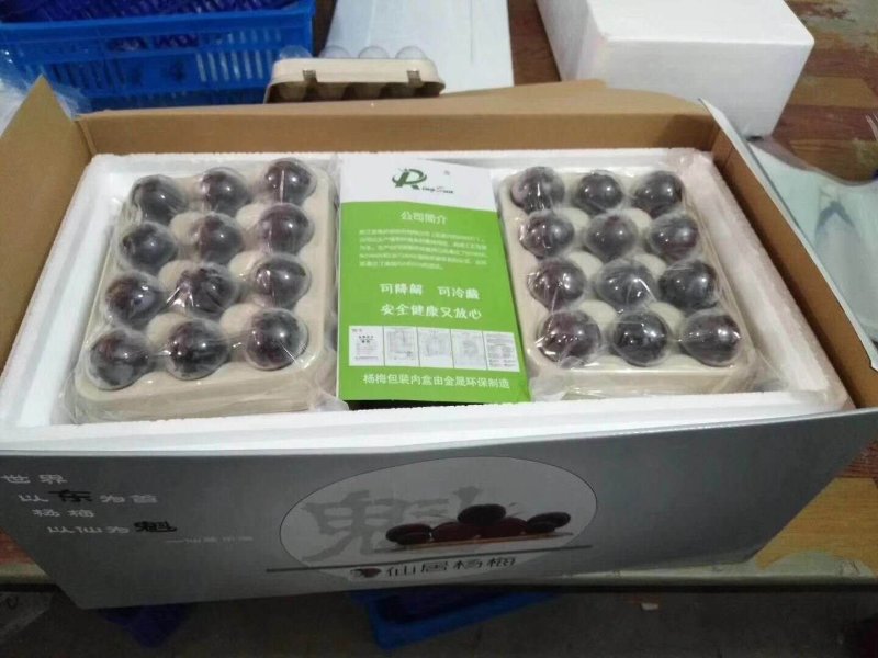 东魁杨梅