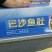 巴沙鱼