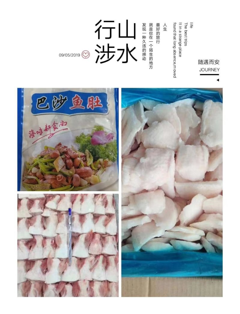 巴沙鱼