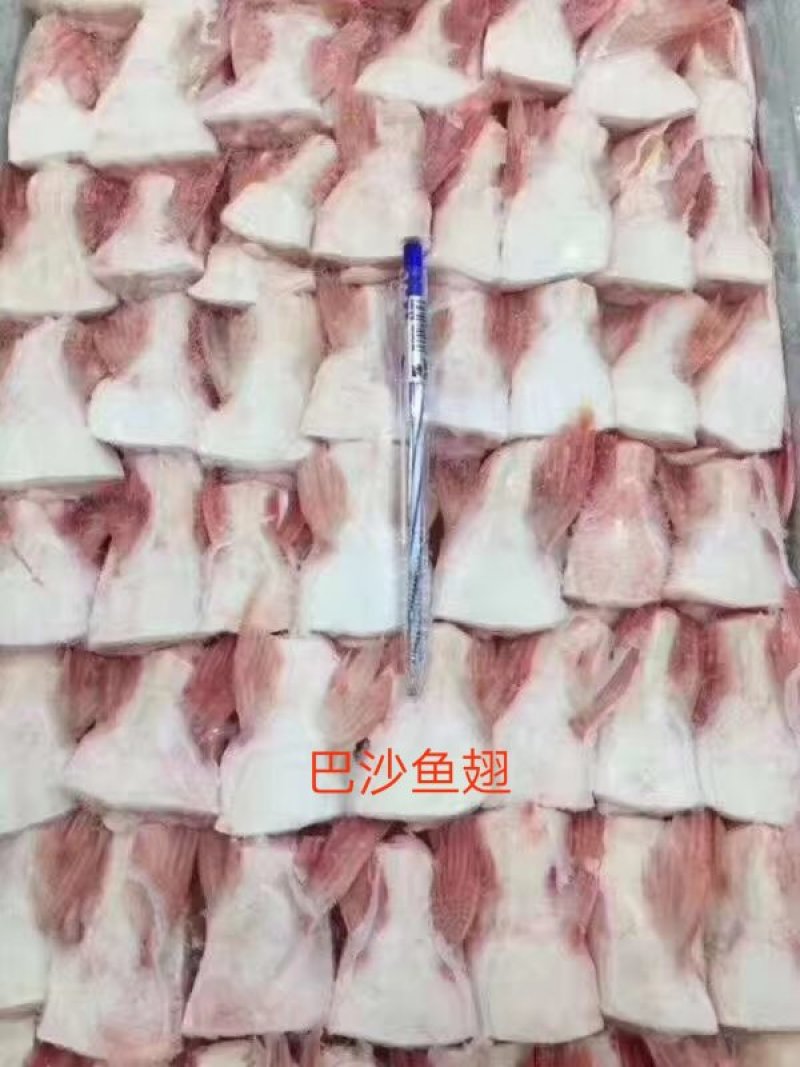 巴沙鱼