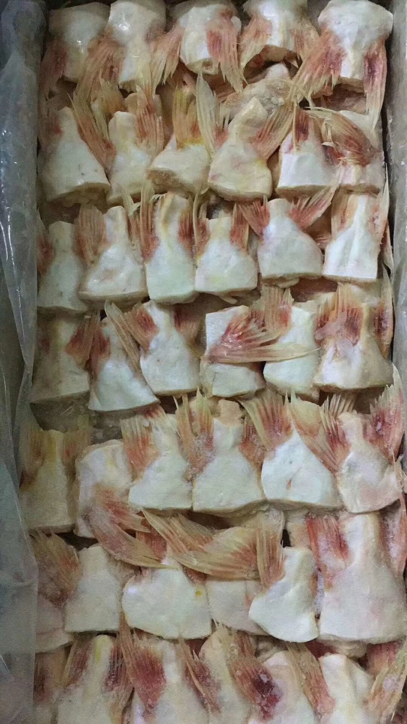 巴沙鱼