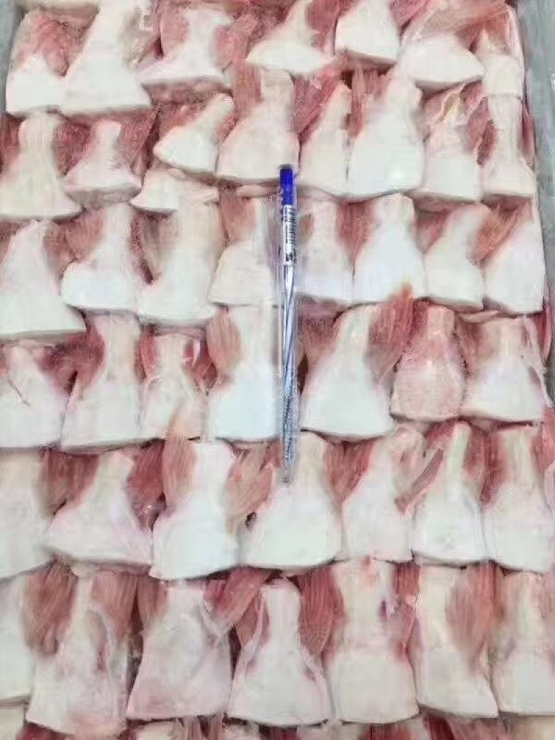 巴沙鱼