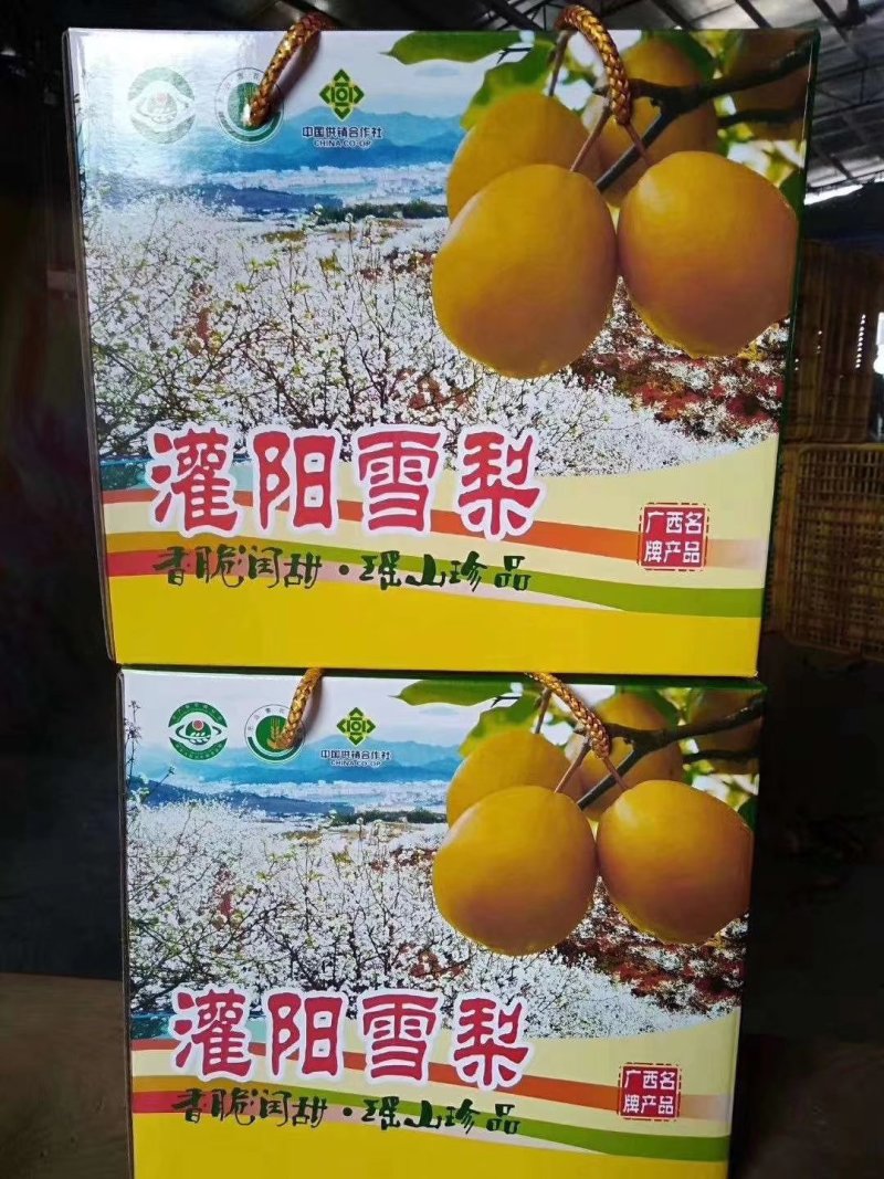 翠冠梨，水晶梨，苹果梨，冰糖梨