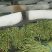 白条豆角大量市场货腌制货可以做酸豆角卜豆角