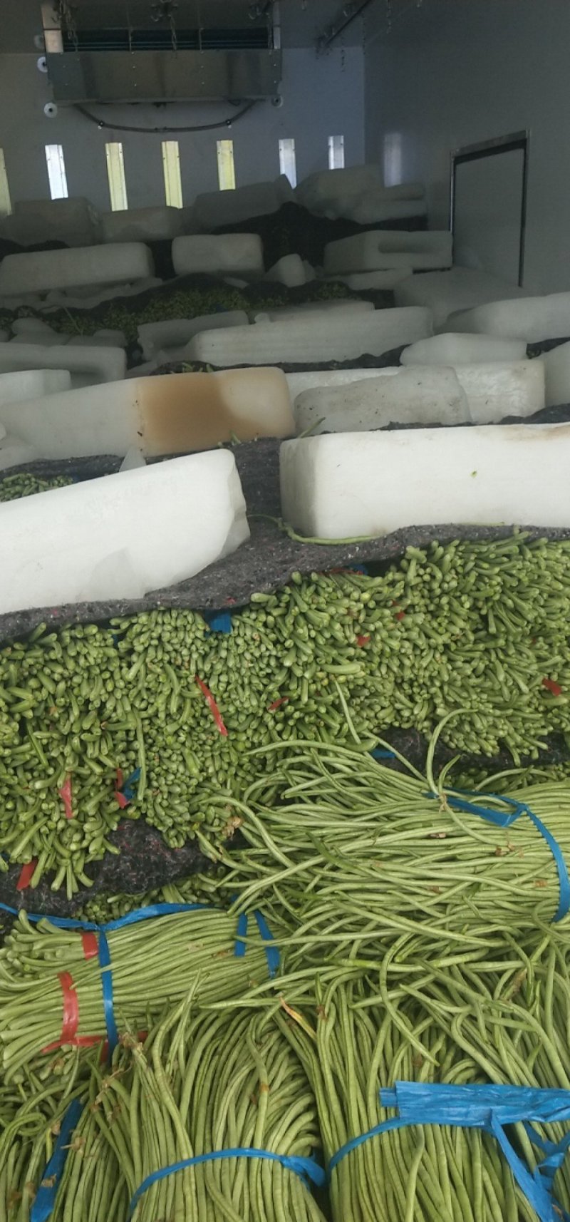 白条豆角大量市场货腌制货可以做酸豆角卜豆角