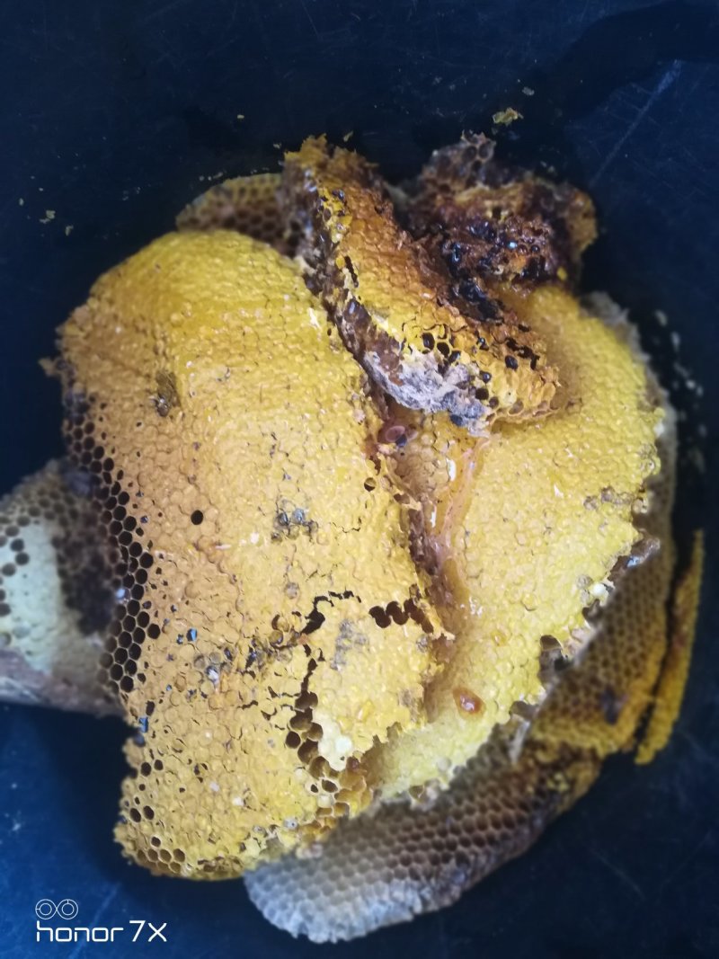 纯野生蜂蜜