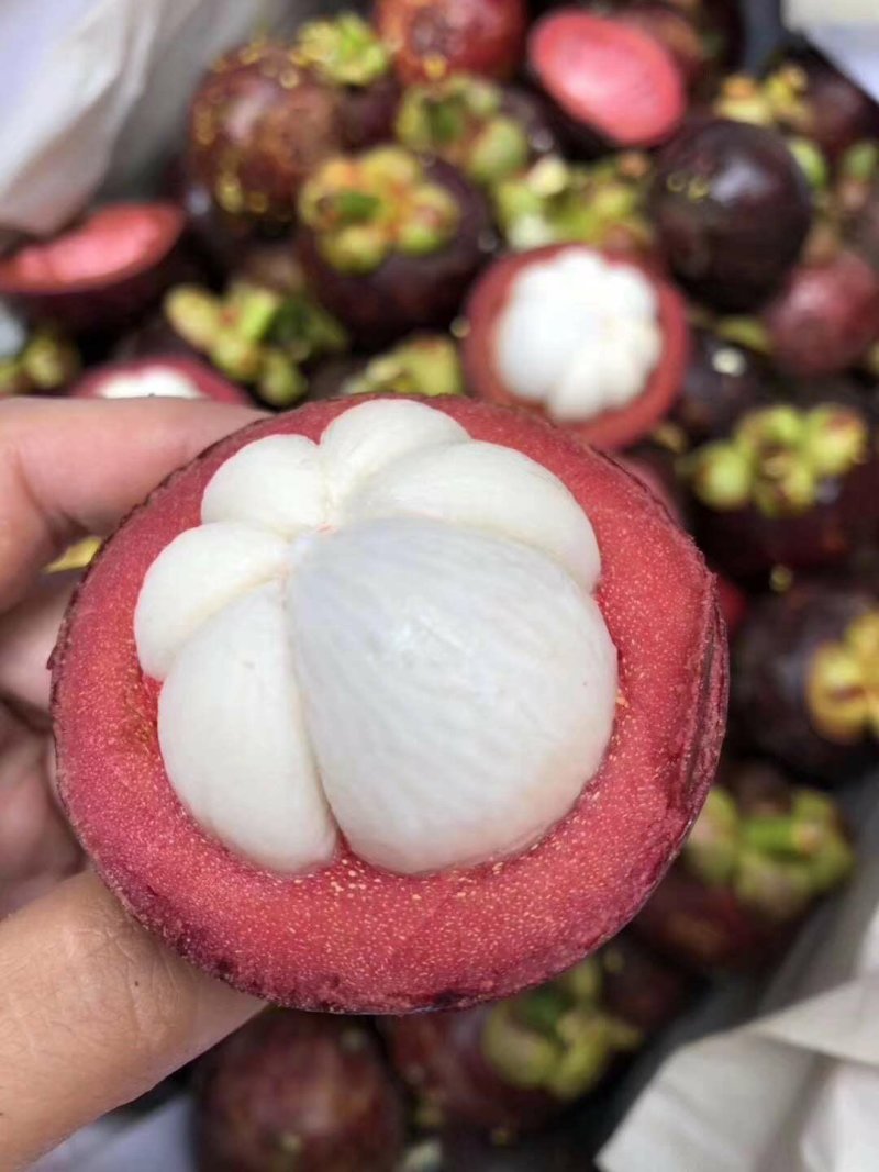 泰国榴莲山竹