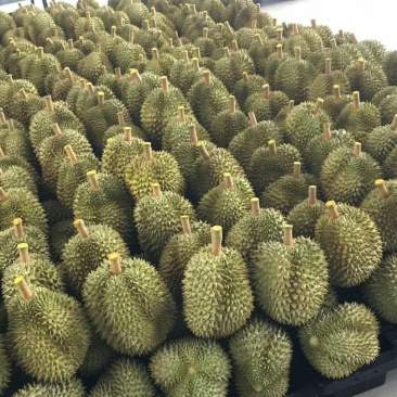 泰国榴莲山竹