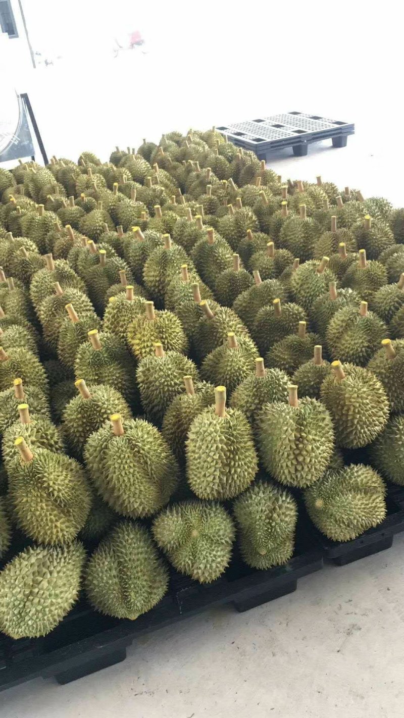 泰国榴莲山竹