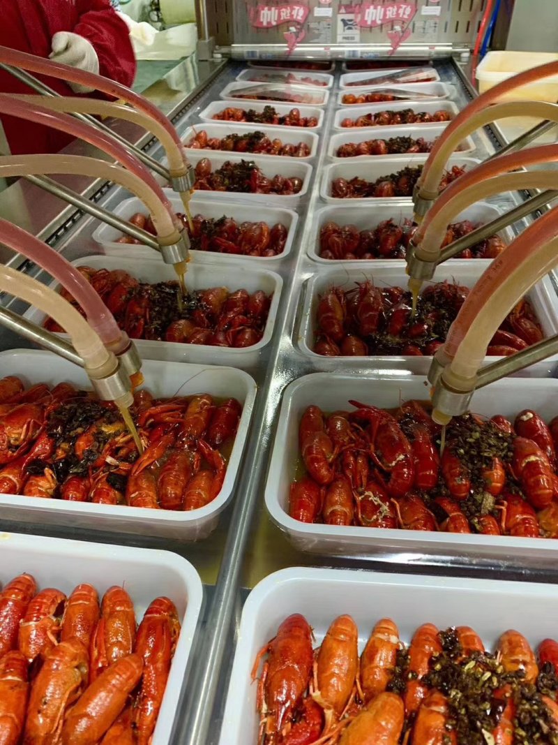 麻辣小龙虾小龙虾调味小龙虾麻辣小海鲜