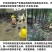 纯种汶上芦花鸡苗包成活包技术