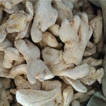 粉姜个，粉姜片批发各种规格中药材