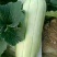 大荔高石【脆瓜】皮薄肉多，脆、甜，支持一件代发