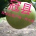 山东冠县绿宝石梨脆甜爽口，产地一手货源，可一件代发