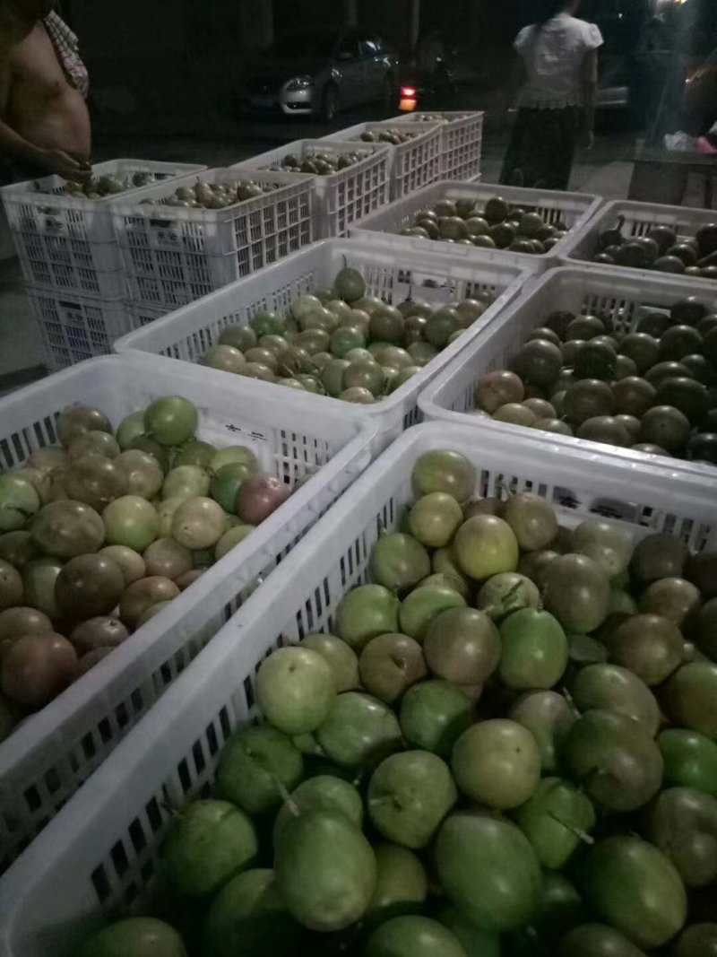 一级紫香百香果台农百香果电商果市场果日出万斤