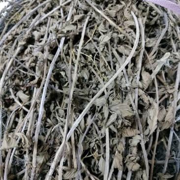 凉粉草
