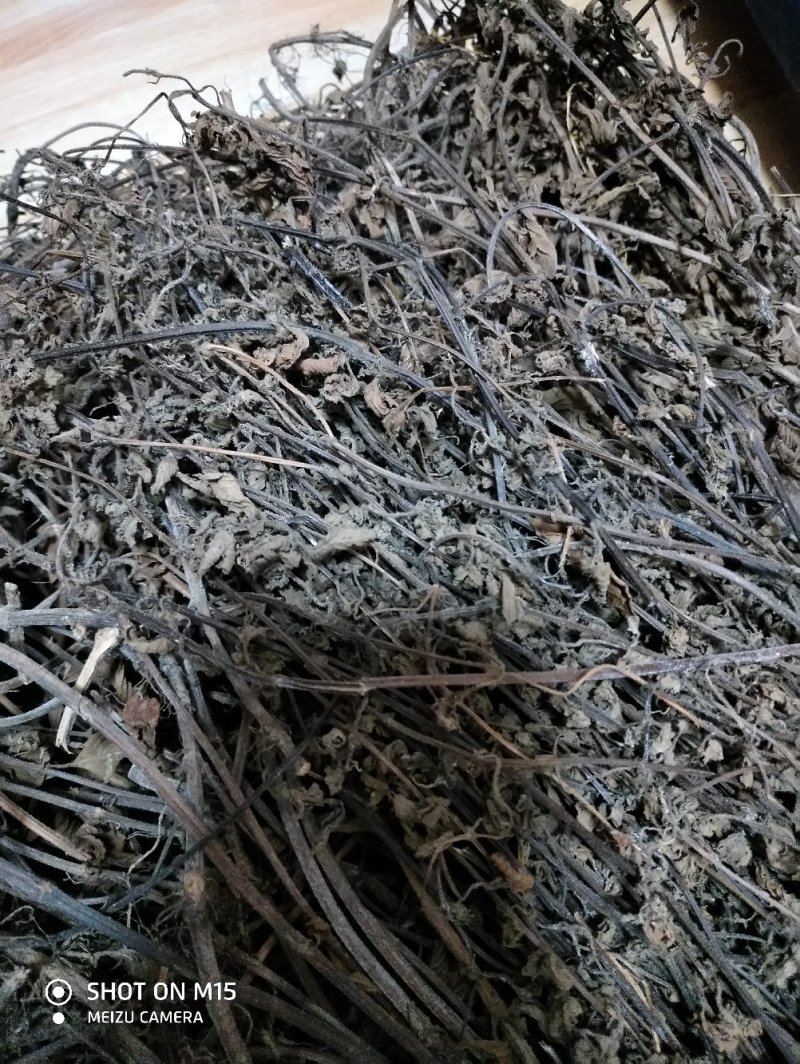 凉粉草