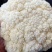 热卖张家口蔬菜菜花现货供应白面青梗有机80散花货源充足！