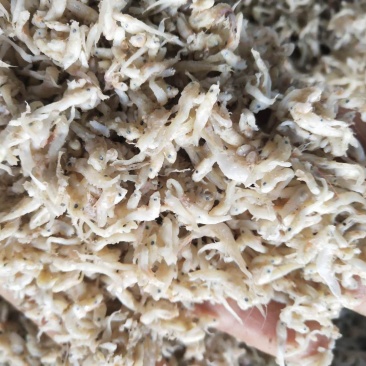 小鱼饲料