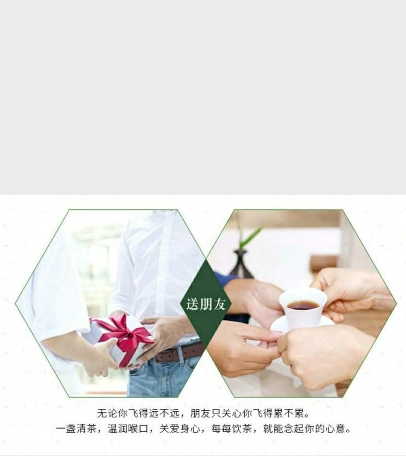 长白山蒲公英根茶无熏制纯净炒茶