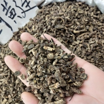 胡黄连正品野生西藏野生胡黄连中药材批发零售