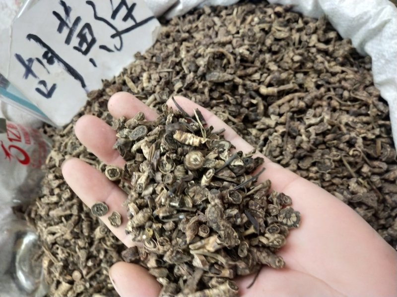 胡黄连正品野生西藏野生胡黄连中药材批发零售