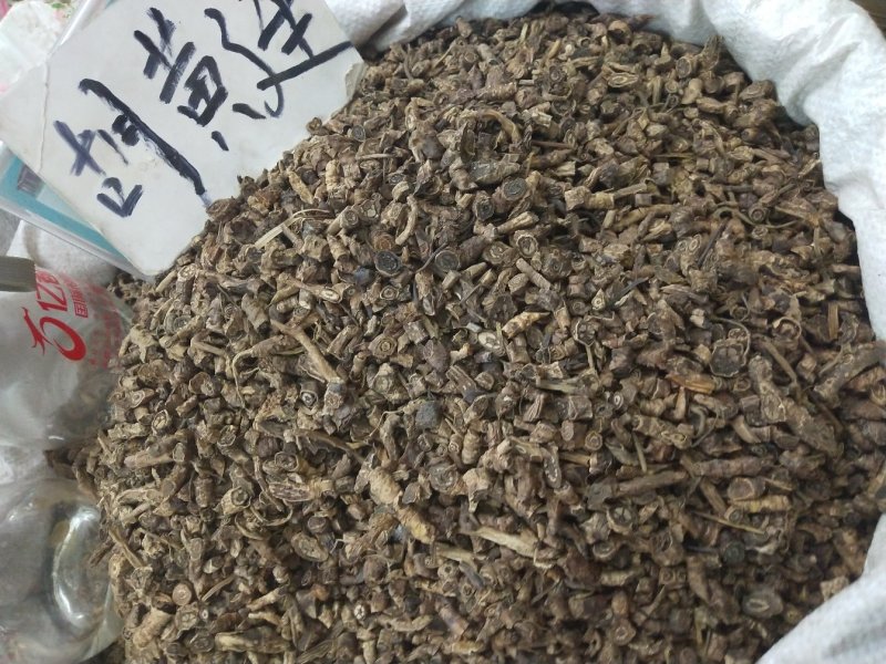 胡黄连正品野生西藏野生胡黄连中药材批发零售