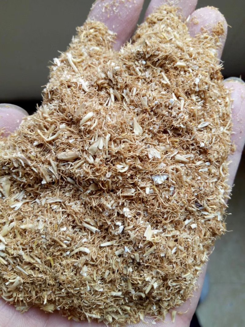 燕麦糠，麦芽根