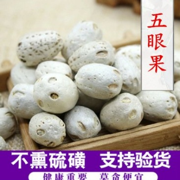 五眼果供应上千种中药材