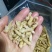 大麦蛹大麦虫金粉虫蛹还有多种昆虫批发