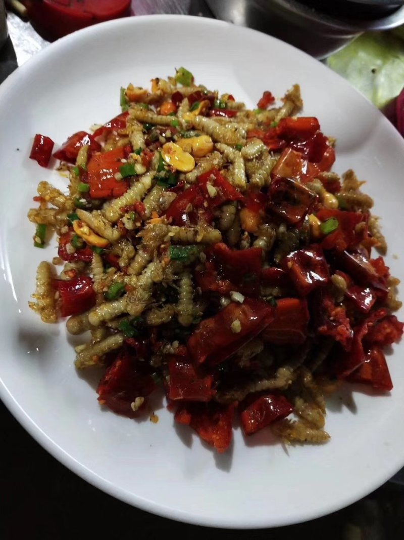 大麦蛹大麦虫金粉虫蛹还有多种昆虫批发