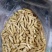 大麦蛹大麦虫金粉虫蛹还有多种昆虫批发