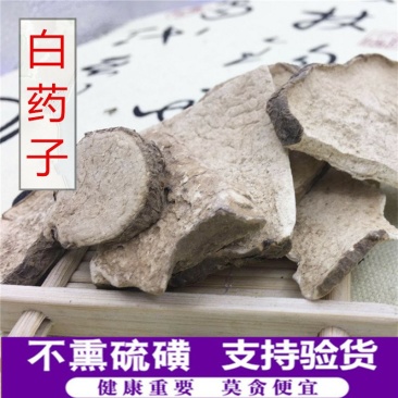 白药子山乌龟供应上千种中药材批发零售量大从优
