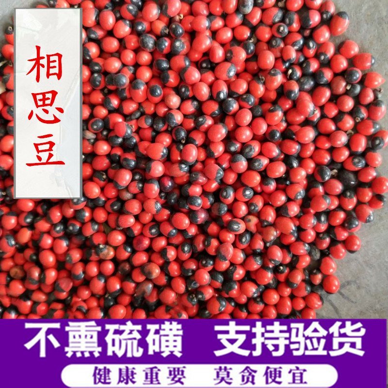 相思豆供应上千种中药材