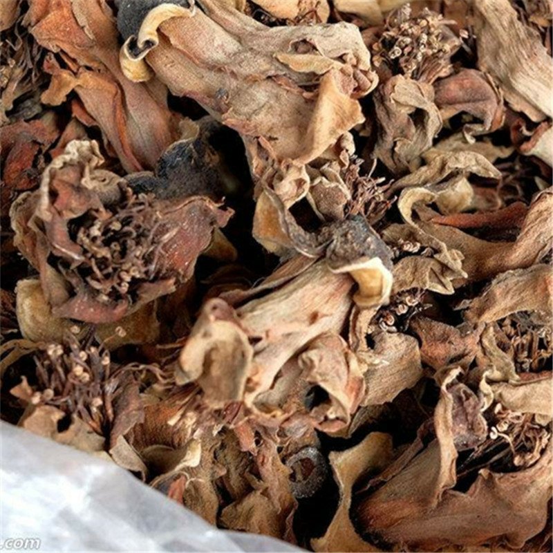 木棉花供应上千种中药材